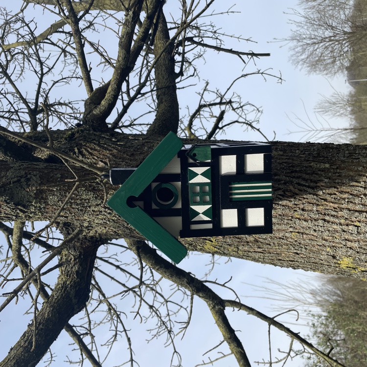 close-up van een vogelhuisje aan een boom