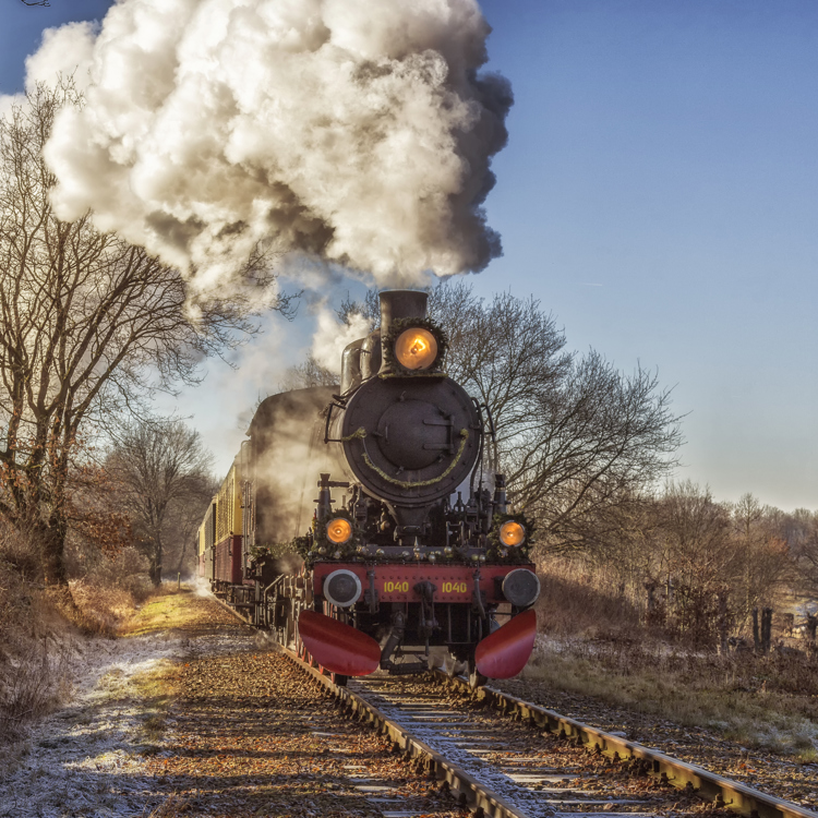 Miljoenenlijn stoomtrein in winters landschap