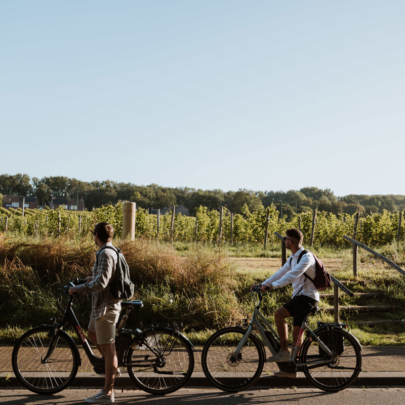 Twee mannen staan stil voor de wijngaard van wijndomein St. Martinus op locatie van Château St. Gerlach