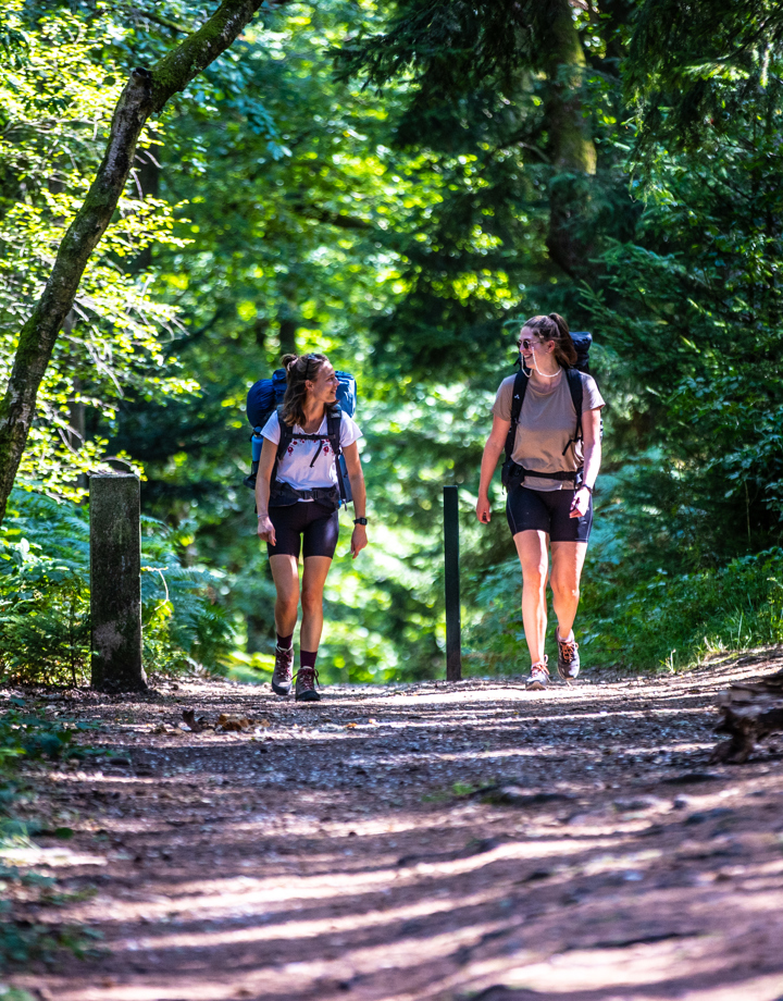 Twee backpackers wandelen door het bos bij het Drielandenpunt