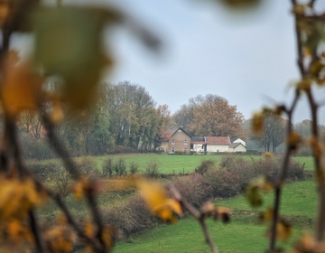Kijkje tussen de herfsttakken op een huis in de heuvels