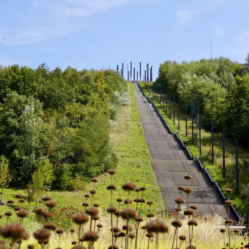 Uitkijk op Kolenberg met trap vanaf beneden