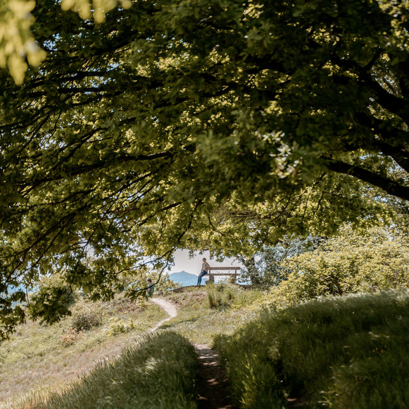 tussen de bomen iemand op een bankje op de Bemelerberg