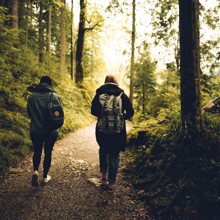 vrouwen wandelen met rugzak over bospad
