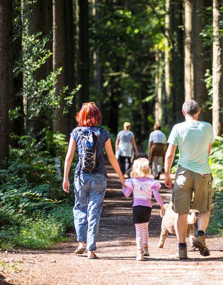 Gezin wandelt met hond in het bos