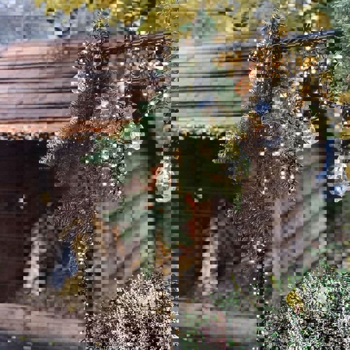 dennentakken en verlichting voor kerststalletje