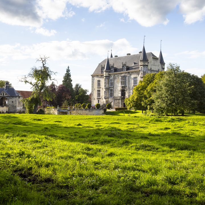Aanzicht van Kasteel Schaloen met grasveld op de voorgrond