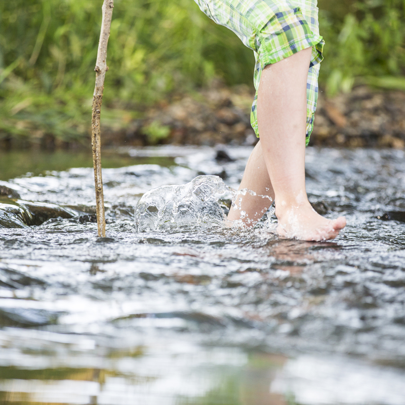 Kindervoetjes In De Geul