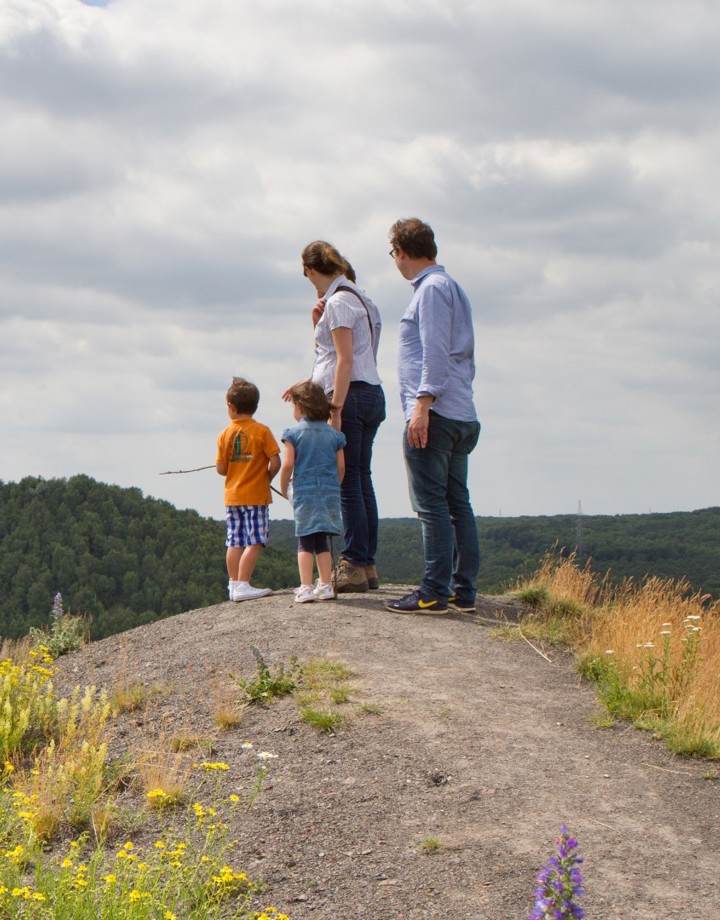 Gezin geniet van het uitzicht bij Nationaal Park Hoge Kempen