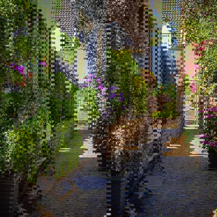 Bloemen in bloei in Batsteeg in Eijsden