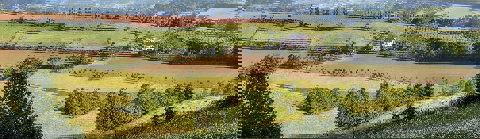  Uitzicht vanaf Eyserbosweg Eys met cypressen in de verte