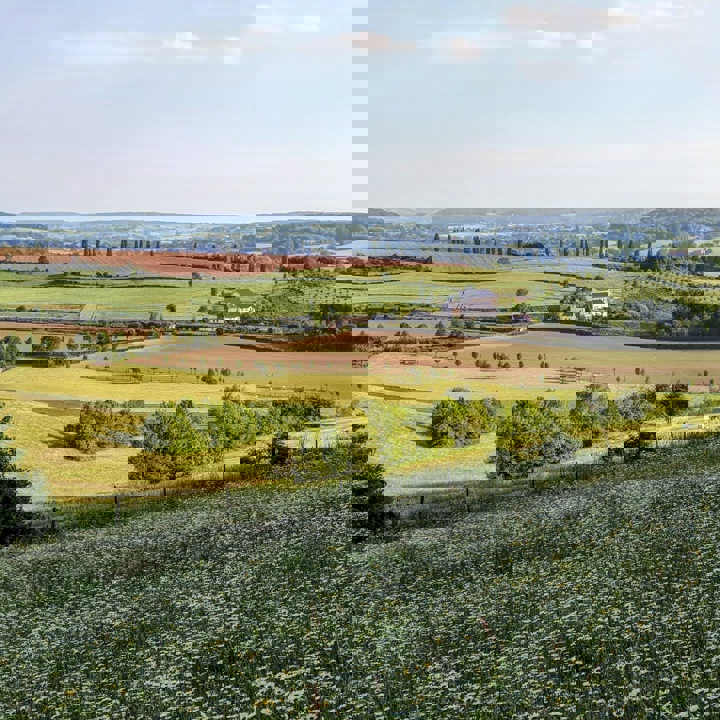  Uitzicht vanaf Eyserbosweg Eys met cypressen in de verte