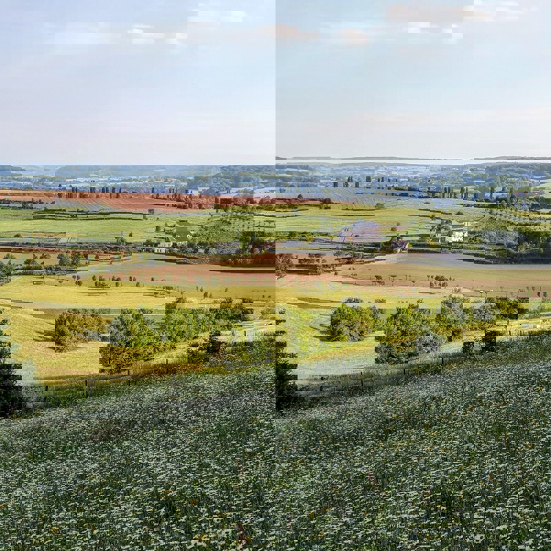  Uitzicht vanaf Eyserbosweg Eys met cypressen in de verte