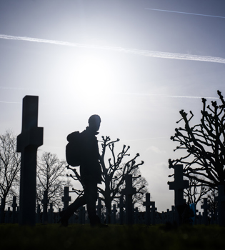 Zonovergoten Amerikaanse Begraafplaats te Margraten met slechts een wandelaar