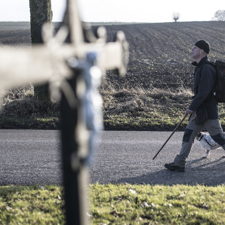 Wegkruis langs voetbad en akkerlandschap met wandelaar en hond