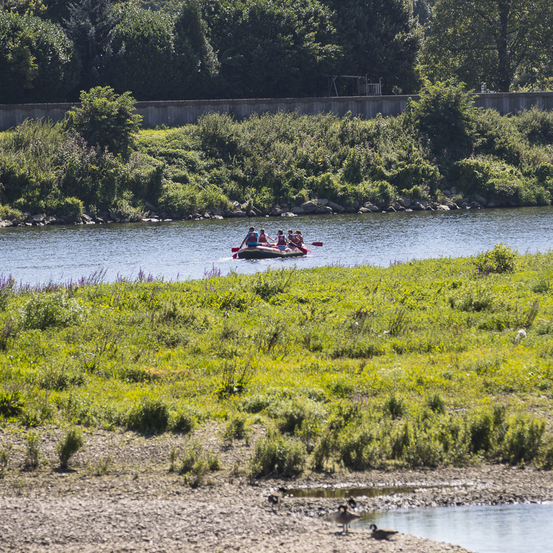 Rafting bootje over de Maas in het RivierPark Maasvallei