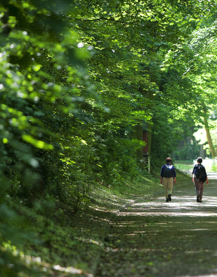Twee wandelaars op de Kollenberg in Sittard