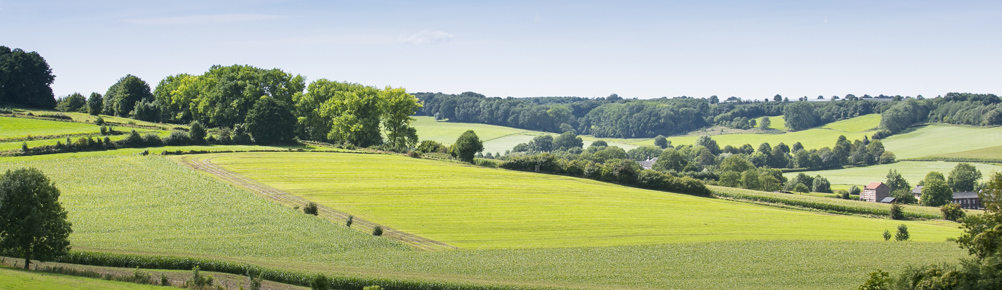 Glooiend heuvellandschap in de buurt van Wijlre en Gulpen