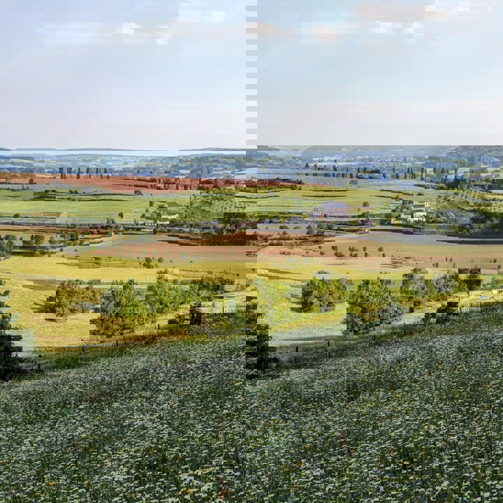 Landschapsfoto vanaf de Eyserbosweg op de 'Toscana' in Nederland