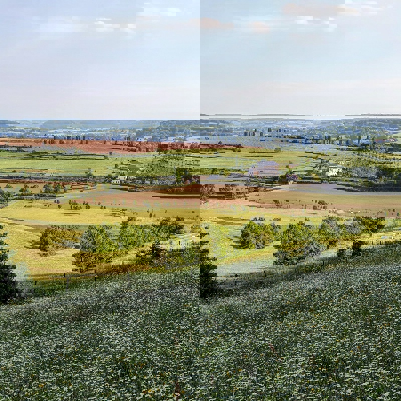 Landschapsfoto vanaf de Eyserbosweg op de 'Toscana' in Nederland