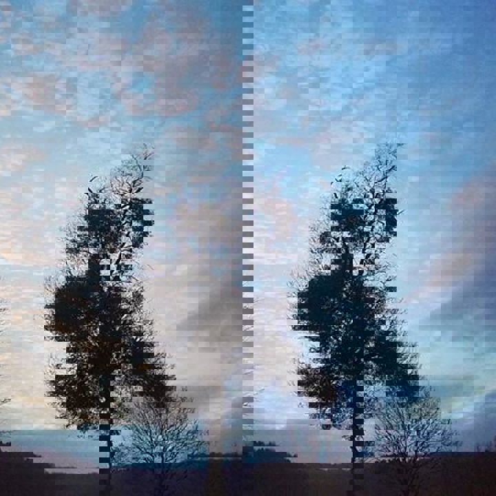 Maretak in landschap met gedeeltelijk bewolkte blauwe hemel