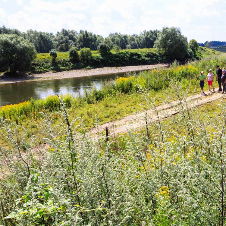 Op pad met een Maasverkenner bij de grenspaal
