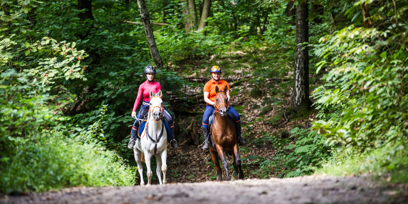 2 vrouwen op een wit en bruin paard op een bospad