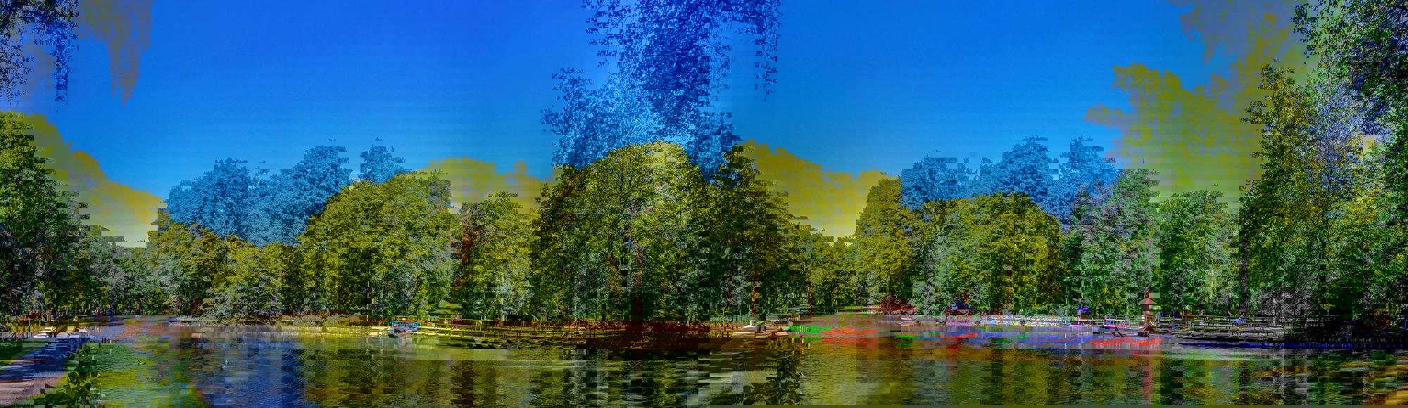 Roeivijver in het Steinerbos in Stein