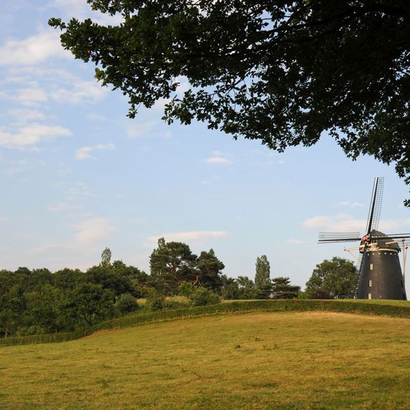 Uitzicht op de molen op de heuvel op de Vrouweheide in Ubachsberg