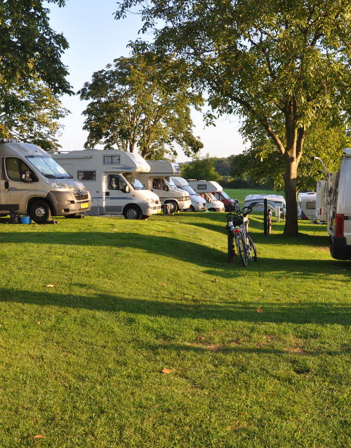 Campers op campingplaatsen onder de bomen