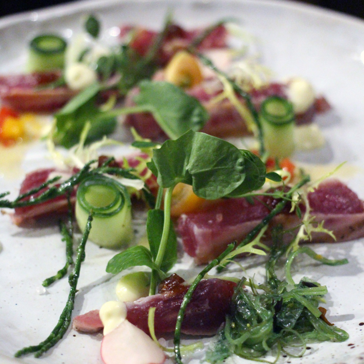 Detailopname van een gerecht, geserveerd met onder anderen radijsjes en komkommer