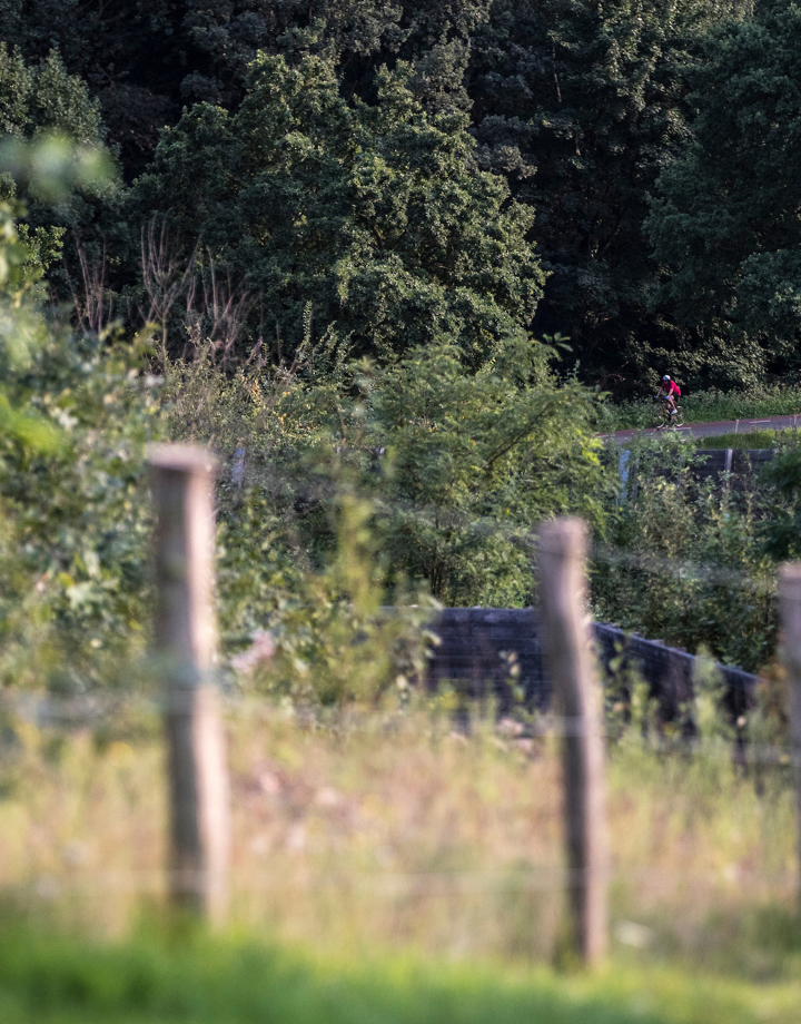 Een fietser door de bossen in de verte