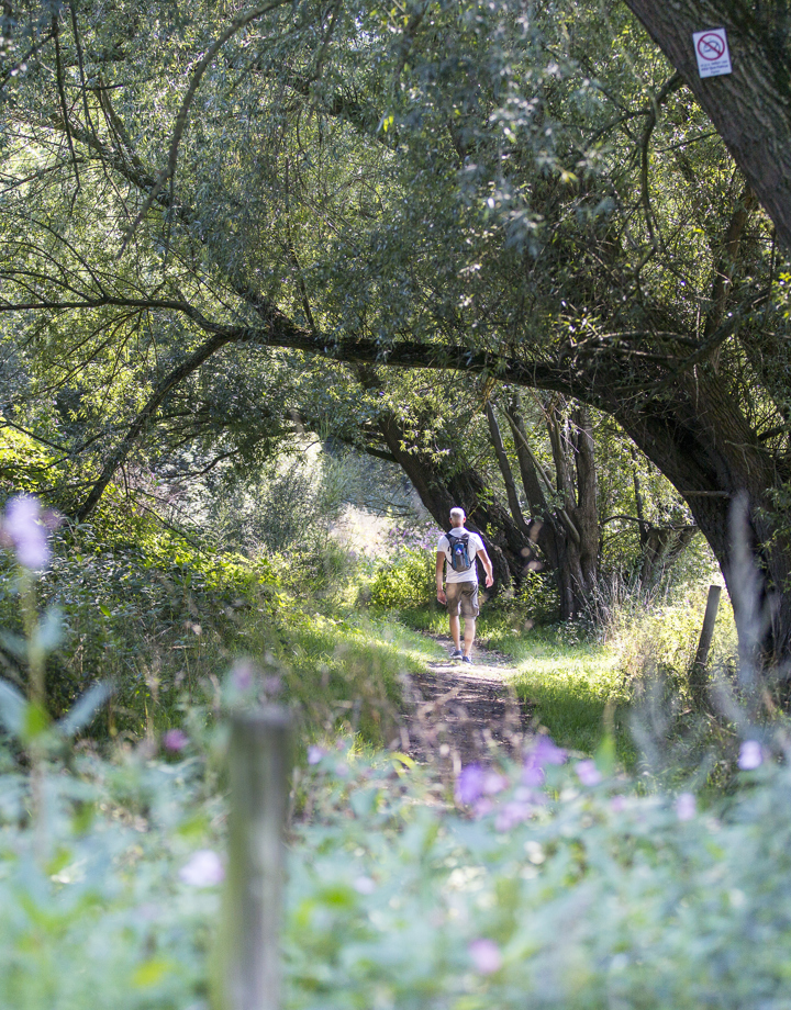 Man wandelt door het bos