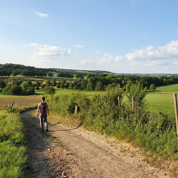 Wandelaar op een zomerse dag in het heuvellandschap in Gulpen