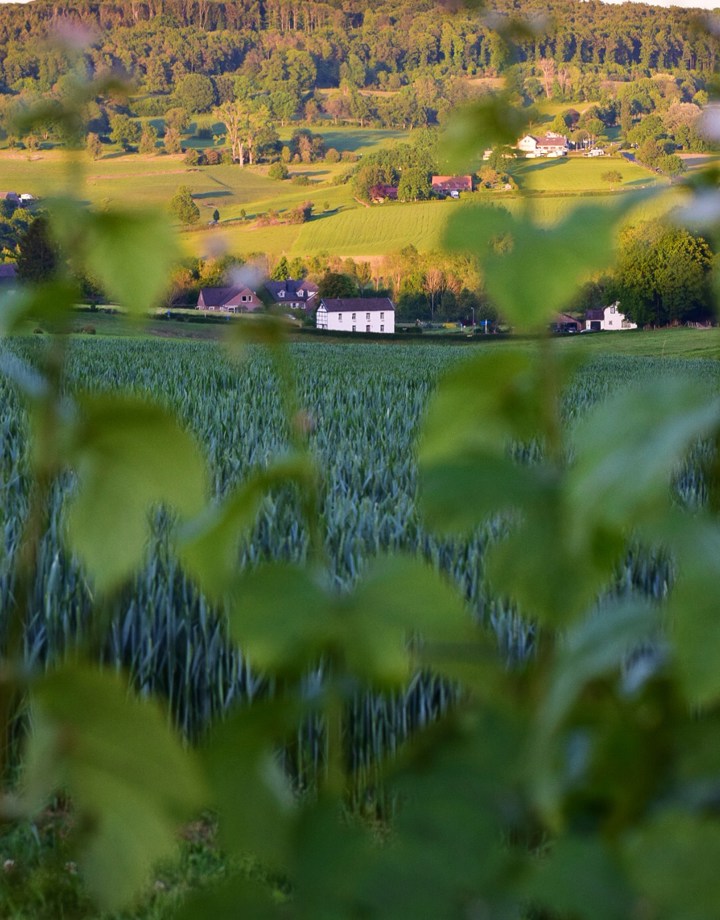 Een doorkijkje vanuit een veld richting een dorpje in de heuvels tijdens zonsondergang