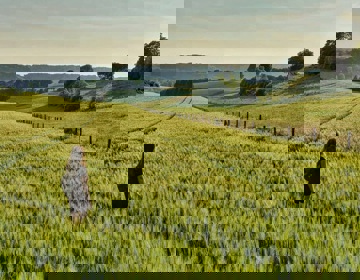 Vrouw staat in een veld en kijkt naar het uitzicht