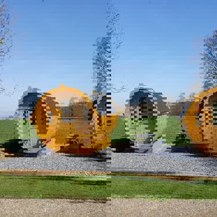 Wijnvaten om in te slapen in een groene omgeving op de Cauberg