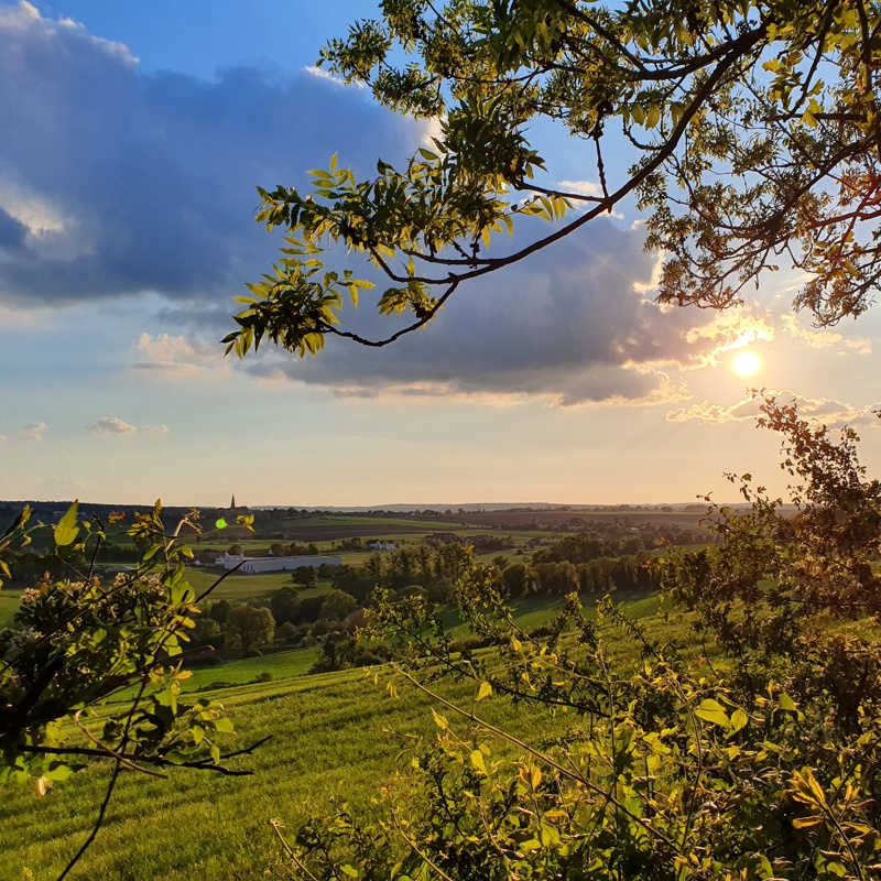 De Sneeuwberg bij Vaals vanuit het bos met achterliggend landschap GR1
