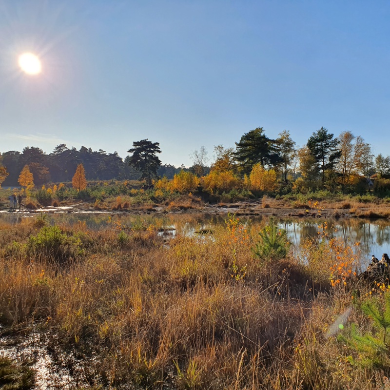 Een heldere herfstdag met uitzicht op het water bij de Brunssummerheide