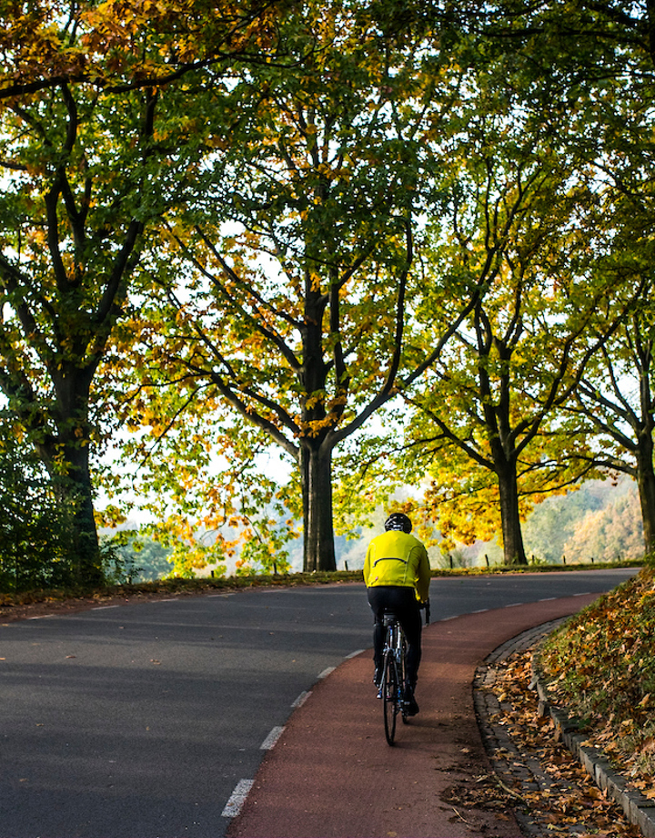 Wielrenner fietst de berg op met herfstige bomen aan de zijkant