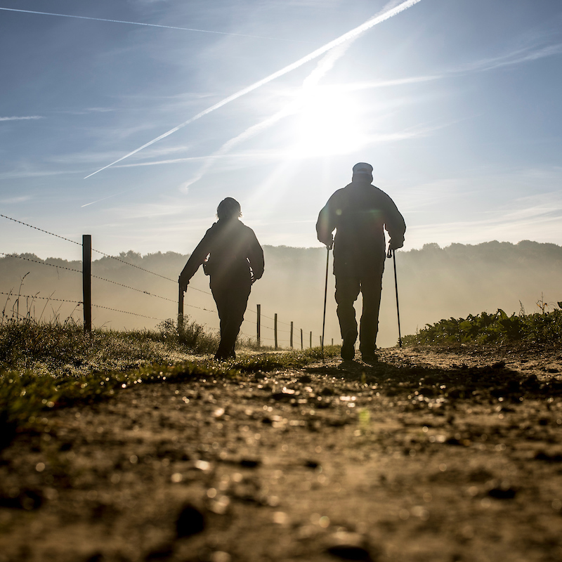 Twee wandelaars op een wandelpad richting het bos