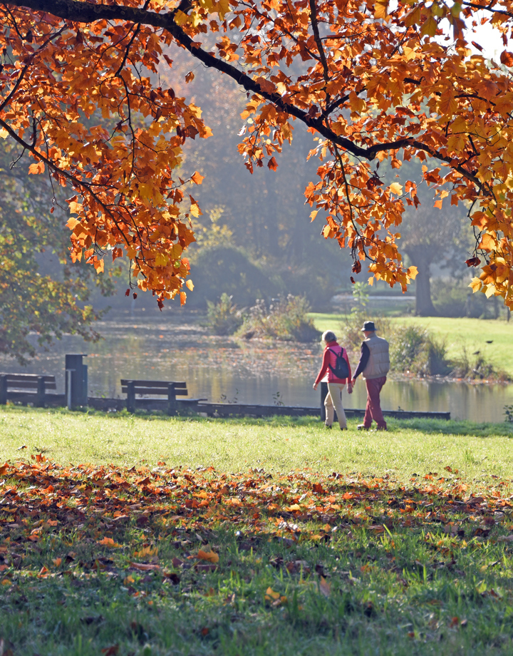 Koppel maakt een herfstwandeling door het bos in Elsloo