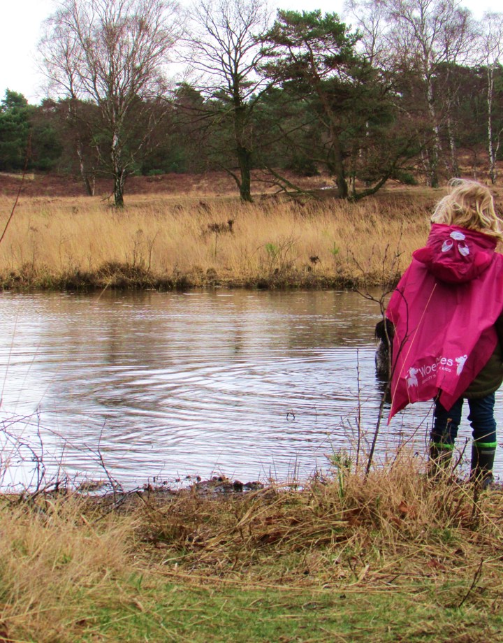 Jonge wandelaarster staat bij het water op de Brunssummerheide
