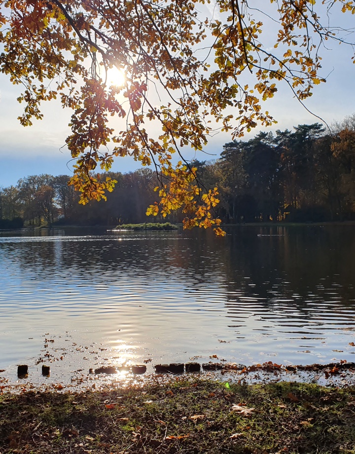 De vijver in het Schutterspark tijdens een zonnige herfstdag