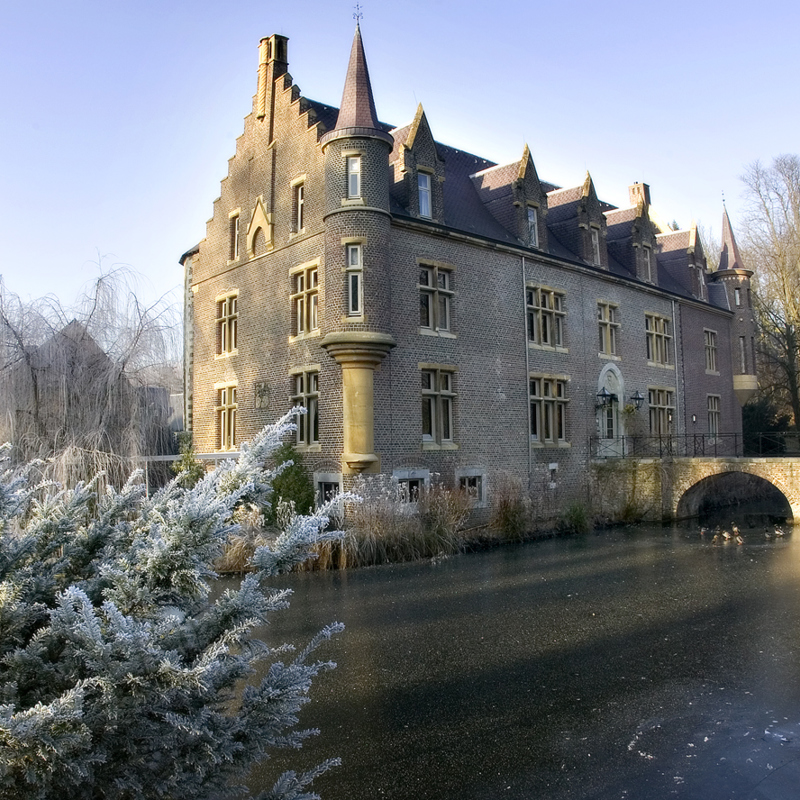 Kasteel omringd door natuur en vorst in de winter