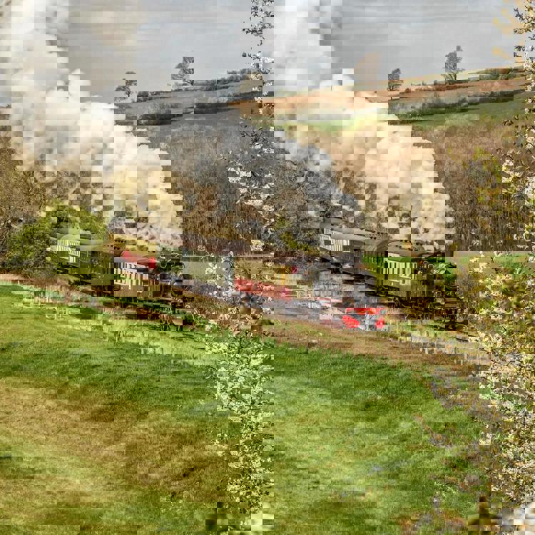 Stroomtrein raast door Zuid-Limburgs bloesem landschap