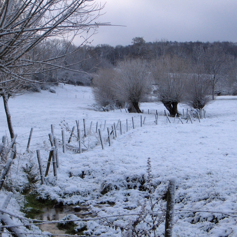Beekje door de sneeuw in de buurt van Vijlen
