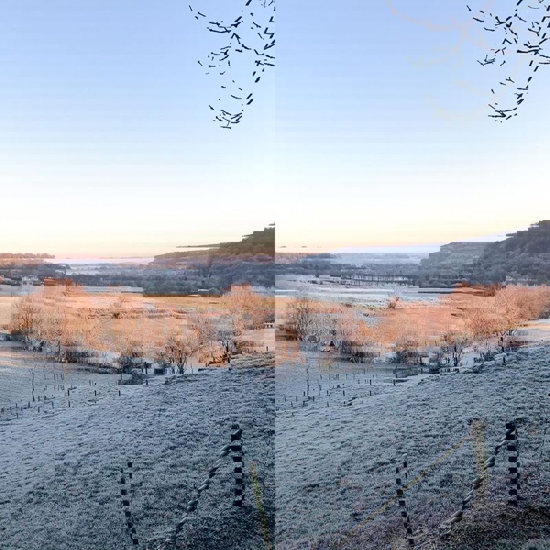 Winters landschap in Noorbeek met een gloed van de laagstaande zon. 