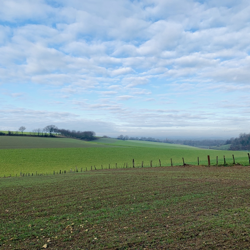 Een weids uitzicht over de weilanden in de buurt van Ubachsberg