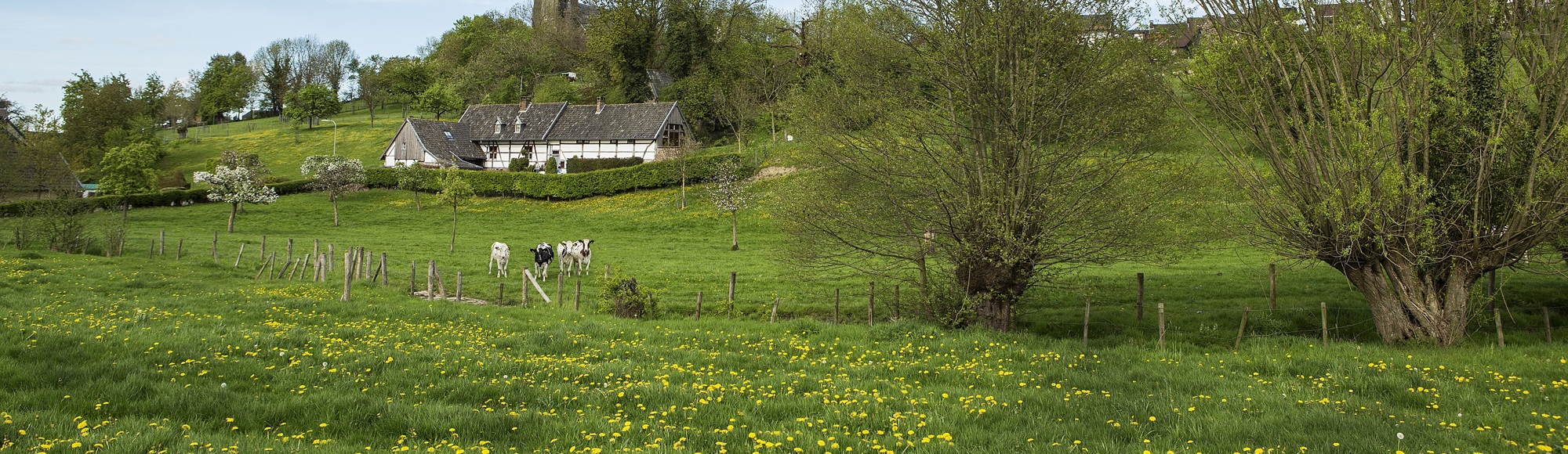 Vakantiehuis De Heerlijkheid Vijlen staat in de wei met kerk op de achtergrond